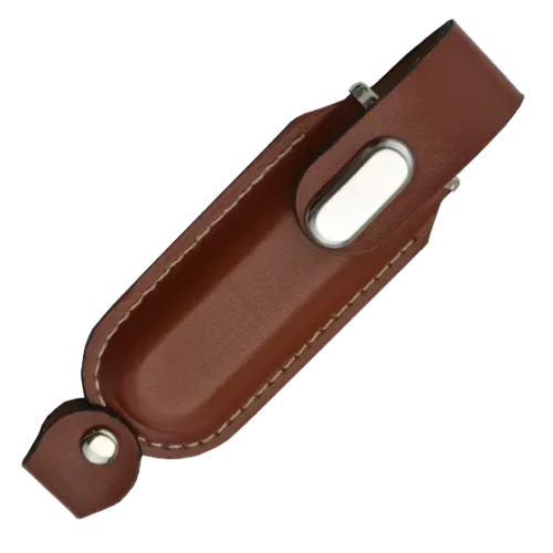 Brown Helios USB Stick