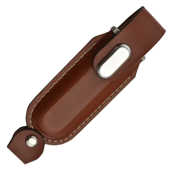 Brown Helios USB Stick