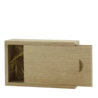 Light Wooden Slide USB Gift Box